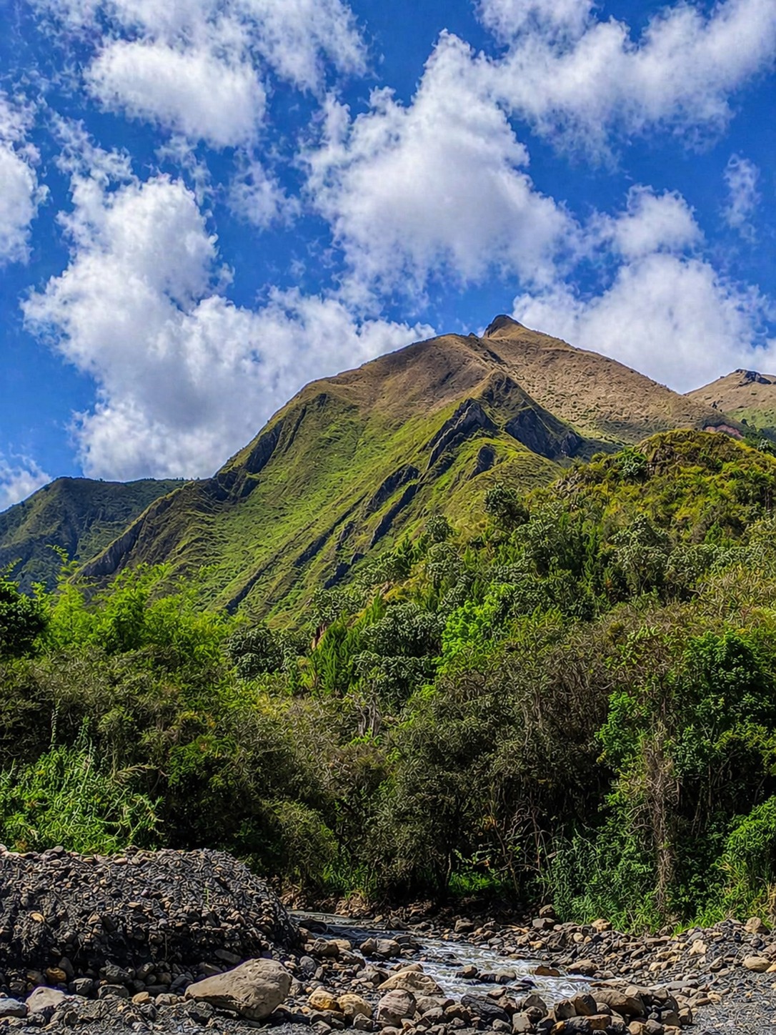 Montaña deforestada — antes