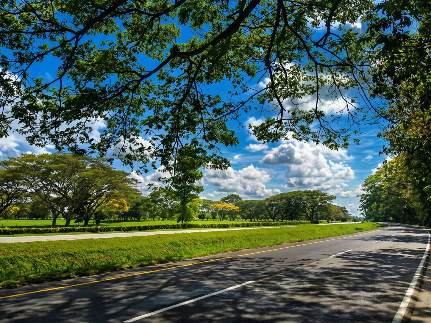 Carretera antes de restauración