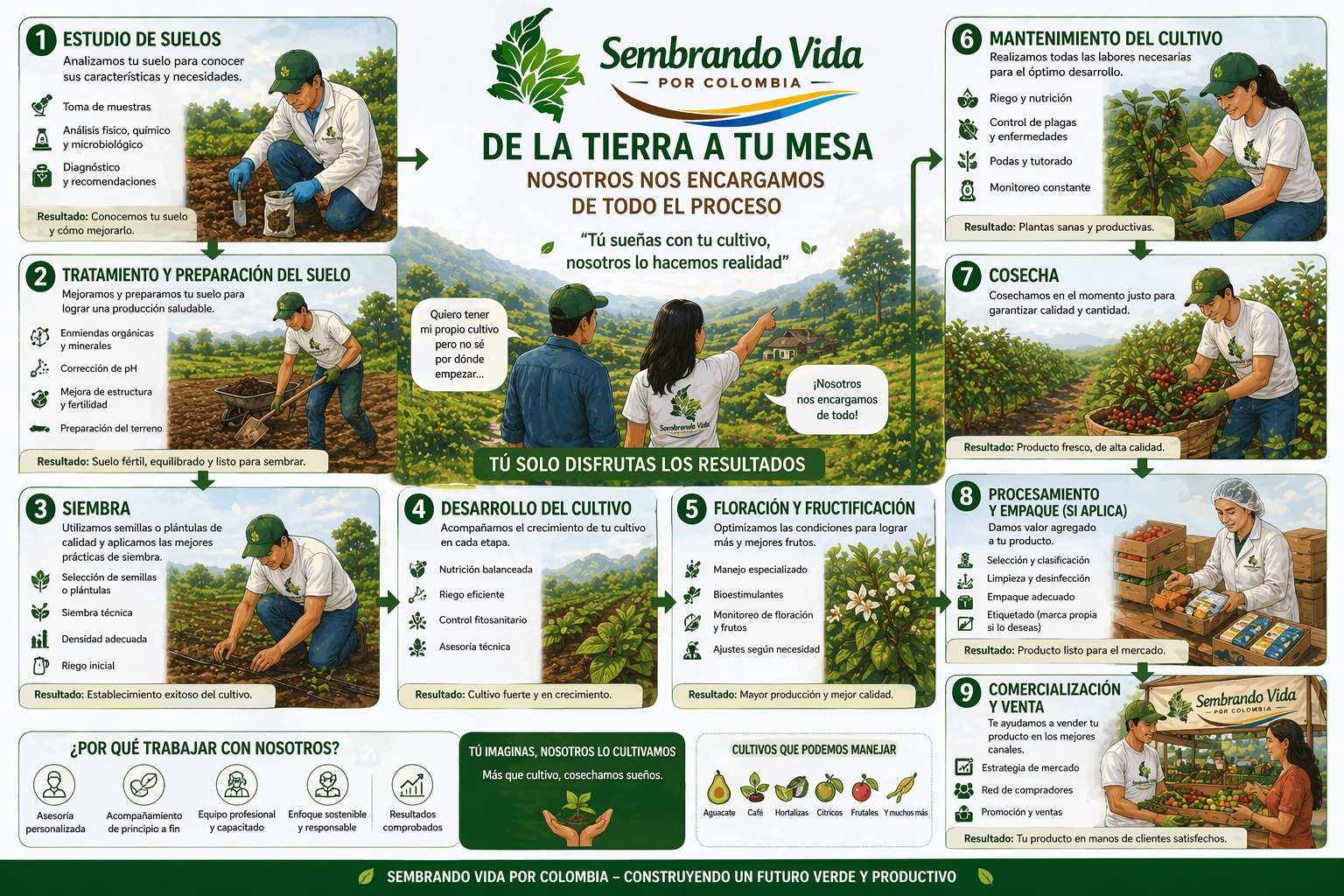 De la tierra a tu mesa — agricultura sostenible